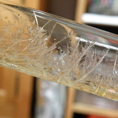 Salazius Hermès D'Artigné