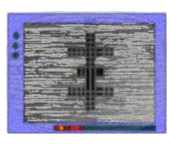 Thee Temple Ov Psychick Youth